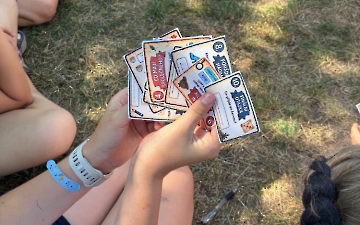 šipkovaná_2