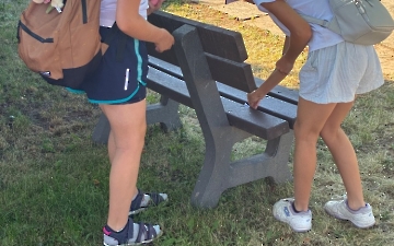 šipkovaná_2