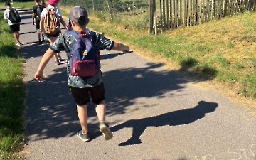 šipkovaná_3