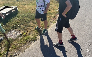 šipkovaná_3