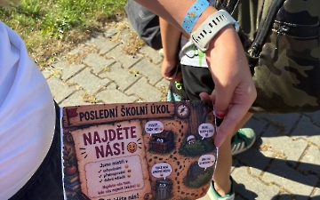 šipkovaná_5