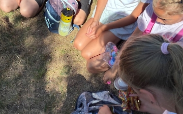 šipkovaná_5