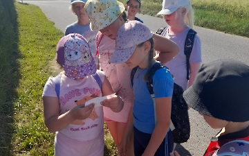 šipkovaná_5