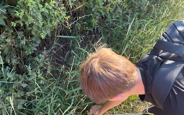 šipkovaná_6