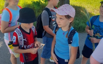 šipkovaná_8
