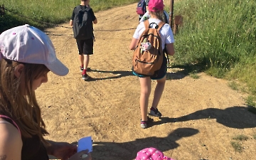 šipkovaná_8