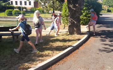šipkovaná_8
