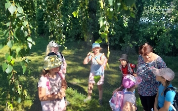 šipkovaná_9