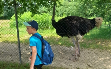 zoo_2