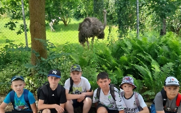 zoo_3