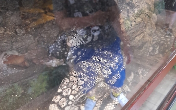zoo_4