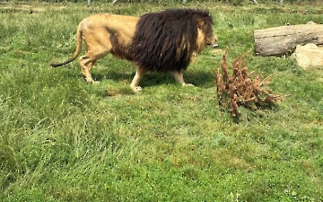 zoo_4