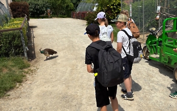 zoo_5