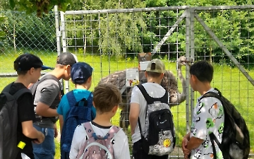 zoo_5