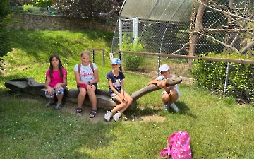 Školní výlet II - ZOO Na Hrádečku