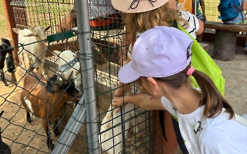 zoo_7